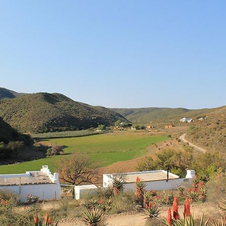 Villa Matjiesvlei Guestfarm Calitzdorp Exterior foto