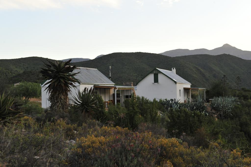 Villa Matjiesvlei Guestfarm Calitzdorp Exterior foto